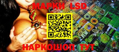 амф Можга