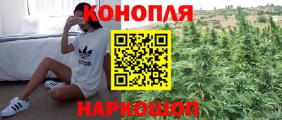 амф Моздок