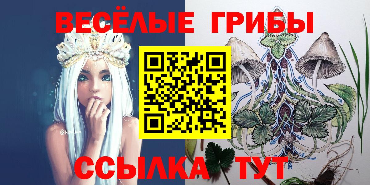 Арсеньев  наркотики  Вход с VPN  Псилоцибиновые грибы GOLDEN TEACHER 